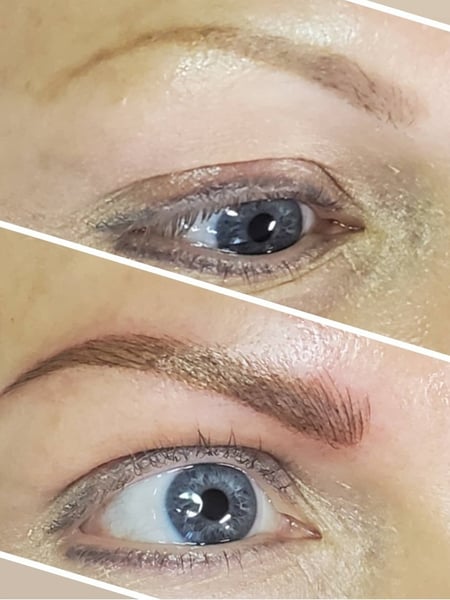 Image of  Brows, Nano-Stroke, Microblading, Steep Arch, Brow Shaping, Arched