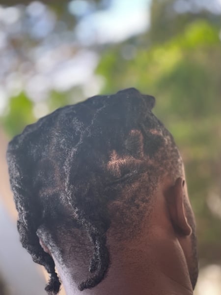 Image of  Men's Hair, Locs, Hairstyles, Braids (African American)