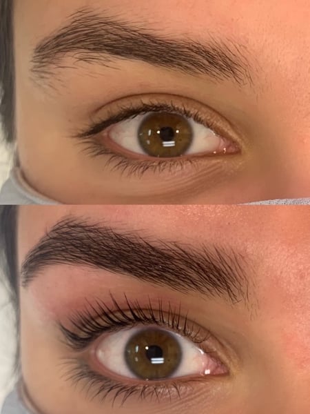 Image of  Brows, Brow Shaping, Arched, Wax & Tweeze, Brow Technique, Brow Sculpting, Brow Tinting