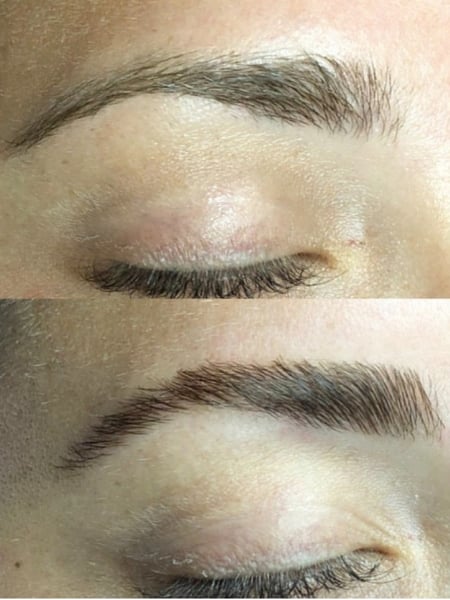 Image of  Brows, Arched, Brow Shaping, Wax & Tweeze, Brow Technique, Brow Tinting, Brow Lamination