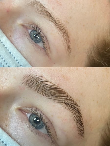 Image of  Brow Tinting, Brows, Brow Lamination, Brow Treatments