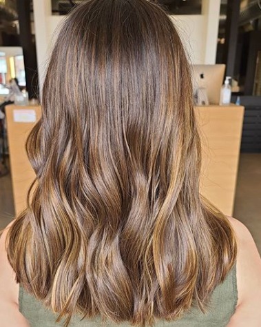 Image of  Women's Hair, Balayage, Hair Color, Brunette Hair, Long Hair (Upper Back Length), Hair Length