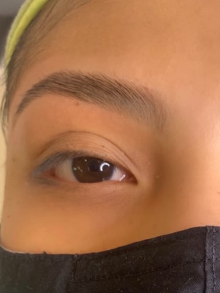 Image of  Brows, Brow Shaping, Arched, Brow Technique, Wax & Tweeze, Brow Lamination, Brow Tinting, Brow Sculpting
