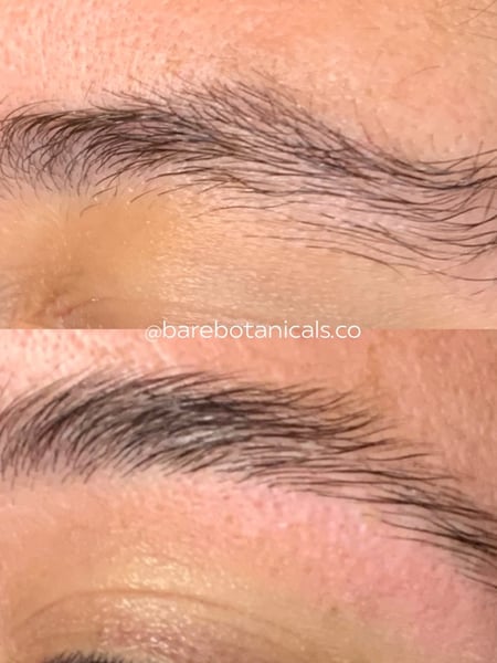 Image of  Brows, Brow Lamination, Brow Technique