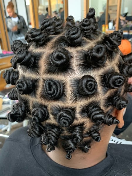 Image of  Protective, Hairstyles, Women's Hair