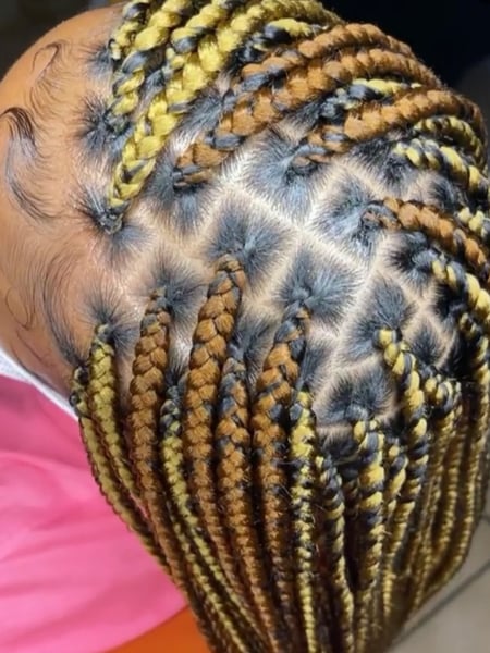 Image of  Women's Hair, Fashion Color, Hair Color, Shoulder Length, Hair Length, Braids (African American), Hairstyles