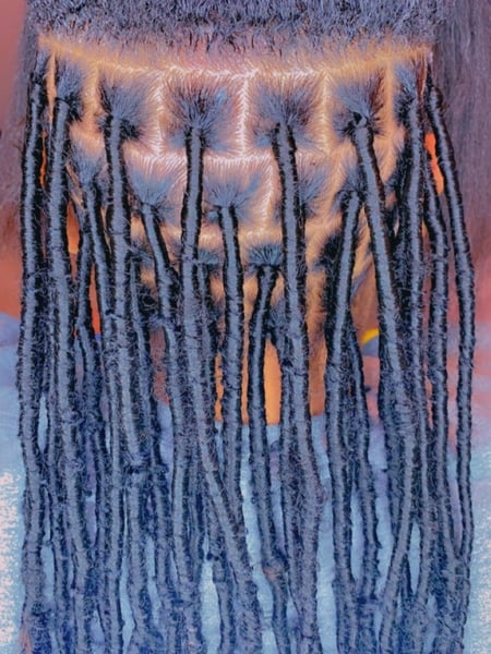 Image of  Women's Hair, Boho Chic Braid, Hairstyles, Braids (African American), Locs, Hair Extensions, Protective