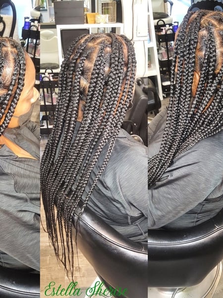 Image of  Women's Hair, Braids (African American), Hairstyles, Hair Extensions, Protective