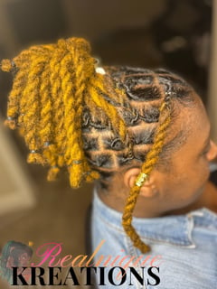View Hair Extensions, Protective Styles (Hair), Natural Hair, Locs, Hairstyle, Women's Hair - Najah Bourne, Concord, NC