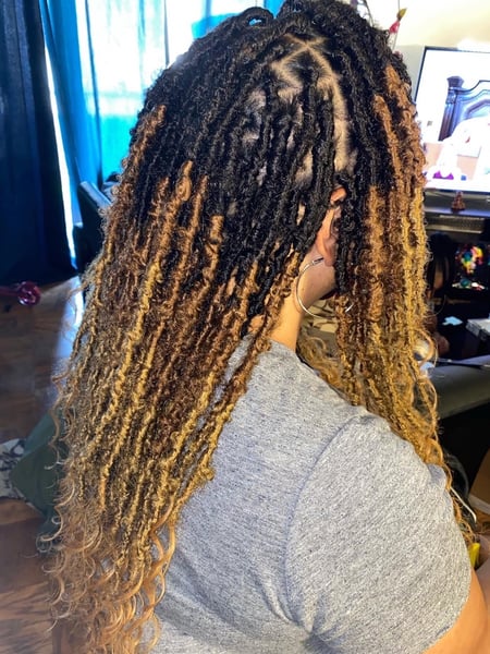 Image of  Hair Color, Ombré, Braids (African American), Protective, Locs, Hair Extensions, Women's Hair, Hairstyles