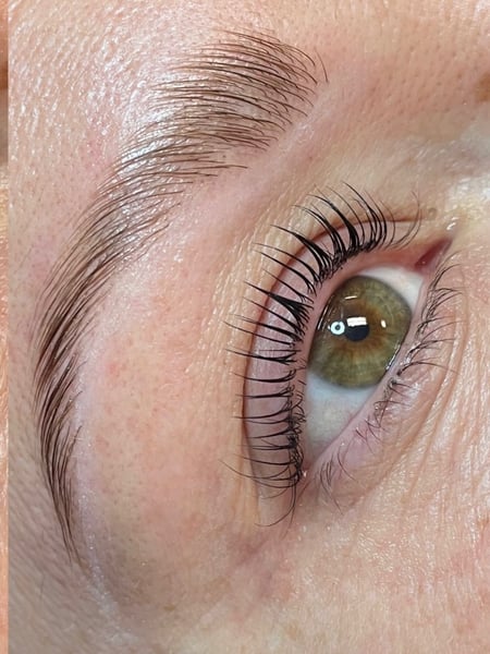 Image of  Brow Shaping, Brows, Brow Tinting, Wax & Tweeze, Brow Technique, Brow Lamination, Lash Lift, Lashes, Lash Tint