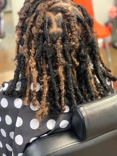 View Women's Hair, Protective Styles (Hair), Hairstyle - Gabrielle Jones, Radcliff, KY