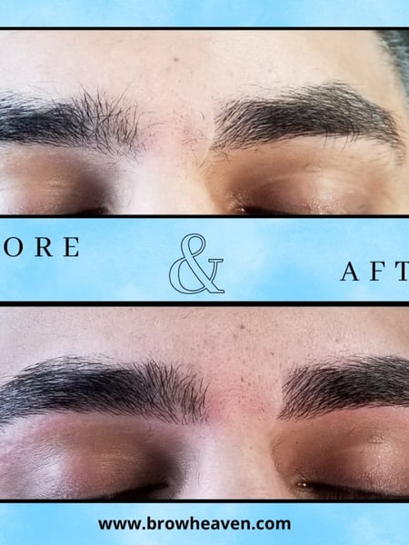 Image of  Brows, Brow Shaping, Arched, Rounded, S-Shaped, Steep Arch, Straight, Brow Technique, Threading, Wax & Tweeze, Brow Sculpting, Brow Tinting, Brow Lamination, Nano-Stroke, Microblading, Ombré