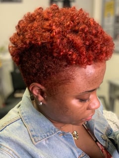 View Women's Hair, Hair Color, Fashion Color, Full Color, Red, Haircuts, Shaved, Curly, Hairstyles, Natural, Hair Texture, 3A, 3B, 3C, 4A, 4B, 4C - Dionna Richardson, Concord, CA
