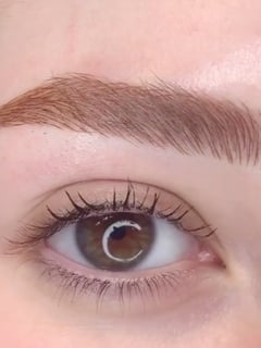 View Straight, Brows, Brow Shaping, Nano-Stroke, Microblading - Leslie Ritchie, La Jolla, CA