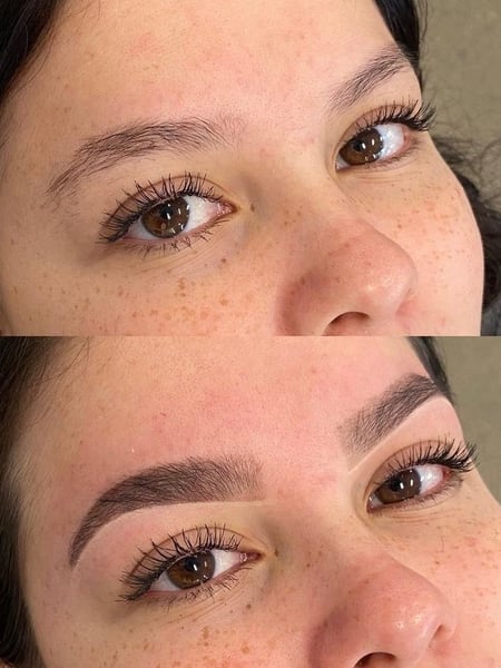 Image of  Brows, Brow Shaping, Wax & Tweeze, Brow Technique, Brow Tinting