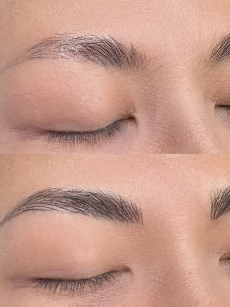 Image of  Brows, Microblading, Nano-Stroke, Tattoos, Tattoo Style, 3D