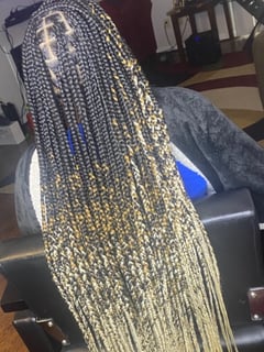View Hairstyles, Braids (African American) - Faith Ferguson, Houston, TX