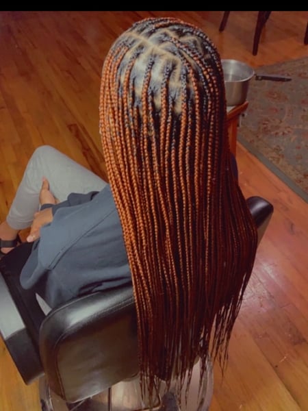 Image of  Protective, Hairstyles, Women's Hair, Braids (African American)