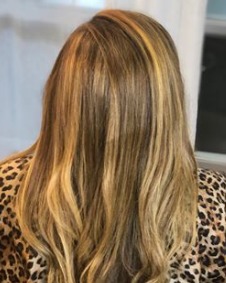 Image of  Women's Hair, Hair Color, Highlights, Long, Hair Length