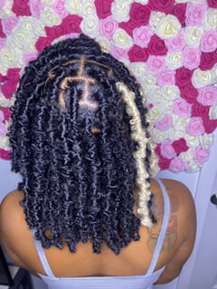 View Protective, Hairstyles, Women's Hair, Locs, Weave, Braids (African American) - Paige Jones, Miami, FL