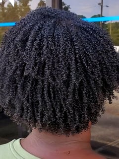 View Women's Hair, Haircuts, Coily, Curly, Curly, Hairstyles, 3B, Hair Texture, 3A, 3C, 4A, 4B, 4C - Queshauna Kinloch, Greenville, SC