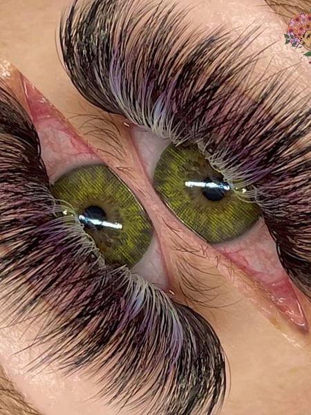 Image of  Mega Volume, Lash Type, Eyelash Extensions, Lashes