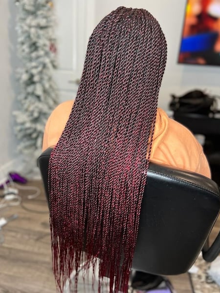 Image of  Women's Hair, Hair Length, Braids (African American), Hairstyles, Hair Extensions, Straight, 4C, Hair Texture