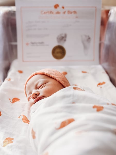 Image of  Photographer, Newborn, First 48 Hours, In-Studio, Lifestyle