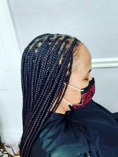 View Braids (African American), Hairstyles, Hair Extensions, Protective, Natural - Sleek Ty, Atlanta, GA