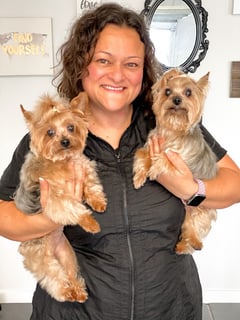 View Pet Grooming, Animal Type, Dog, Dog Size, Small, Medium, Dog Hair Type, Smooth Coat, Double Coat, Long Coat, Wire Coat, Curly Coat, Dog Grooming Style, Kennel Cut, Teddy Bear, Breed Trim, Full Coat, Show Groom, Puppy Cut - Diana Dillon, Orlando, FL