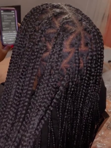 Image of  Women's Hair, Braids (African American), Hairstyles, Protective, 4C, Hair Texture, 4B, 4A, 3C, 3B, 3A, 2C, 2B, 2A
