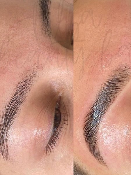 Image of  Brows, Brow Shaping