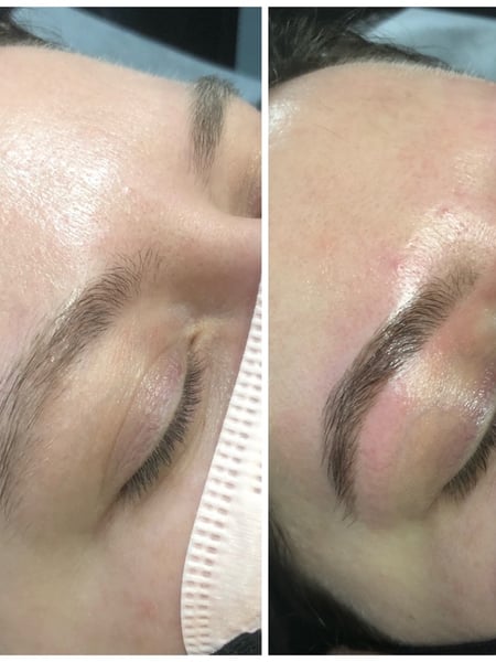 Image of  Brows, Wax & Tweeze, Brow Technique, Arched, Brow Shaping, Brow Sculpting, Brow Tinting