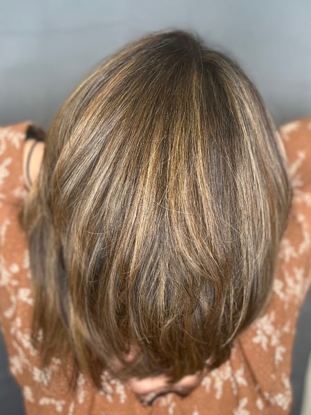 Image of  Layered, Haircuts, Women's Hair, Brunette, Hair Color, Highlights, Full Color, Color Correction