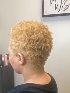View Blonde, Hair Color, Women's Hair - Lanisha, Charlotte, NC