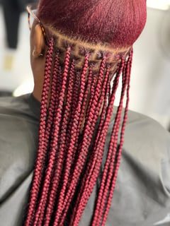 View Straight, Hairstyles, Women's Hair, Boho Chic Braid, Protective, Braids (African American), Hair Extensions, Natural - Lakesia Davis, Dallas, TX