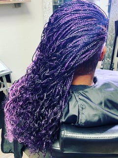 View Braids (African American), Hairstyle, Hair Extensions, Protective Styles (Hair), Natural Hair - Dionna Richardson, Concord, CA