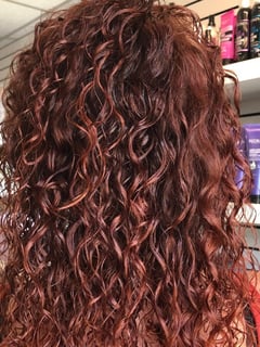 View Women's Hair, Red, Hair Texture, 3C, Curly, Hairstyles, Natural, Haircuts, Curly, Hair Length, Medium Length, Hair Color - Carla, Troy, MI