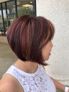 View Blowout, Fashion Color, Brunette, Hair Color, Women's Hair - Rania Hosn, Gaithersburg, MD