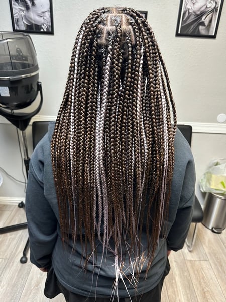 Image of  Hairstyles, Women's Hair, Braids (African American)
