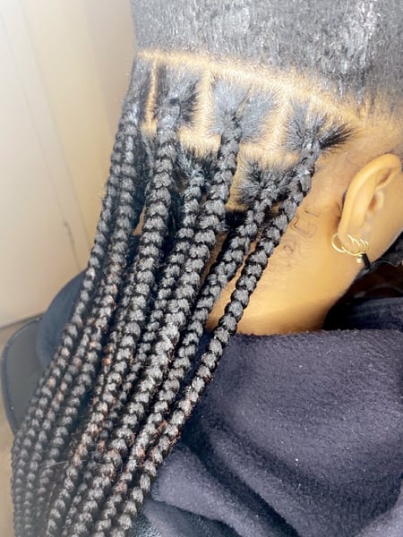Image of  Women's Hair, Black, Hair Color, Shoulder Length, Hair Length, Braids (African American), Hairstyles, Natural, Protective, 4B, Hair Texture
