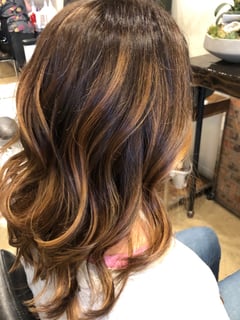 View Balayage, Hair Color, Women's Hair - Erin Gabrick, Canfield, OH