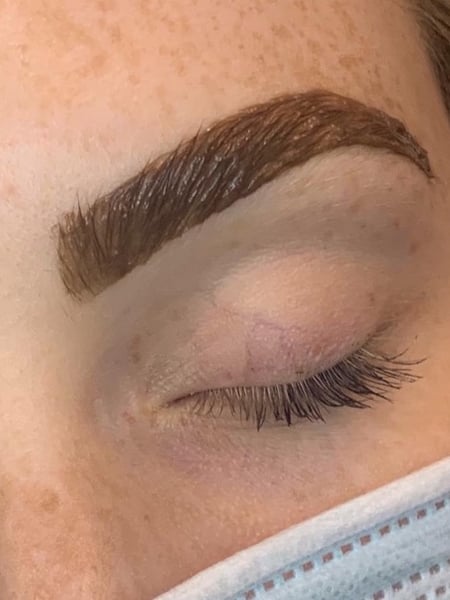 Image of  Brows, Brow Shaping, Arched, Brow Technique, Brow Sculpting, Brow Tinting