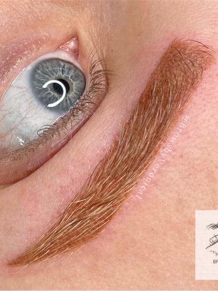 Image of  Cosmetic Tattoos, Cosmetic, Ombré, Microblading, Brows, Brow Sculpting, Straight, Brow Shaping