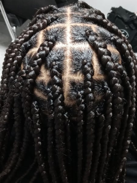 Image of  Women's Hair, Protective, Hairstyles, Natural, Weave, Braids (African American)