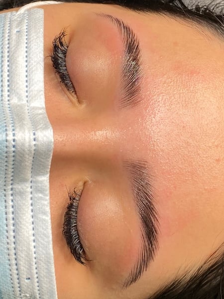 Image of  Rounded, Brow Shaping, Brows, Straight, Arched, Wax & Tweeze, Brow Technique, Brow Lamination, Brow Sculpting