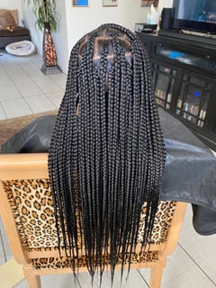 View Braids (African American), Protective, Hairstyles, Women's Hair - Passion Finks, Las Vegas, NV