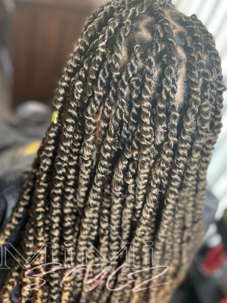 Image of  Hair Texture, 3B, 3C, 4A, 3A, 4B, 4C, Natural, Braids (African American), Protective, Hair Extensions, Women's Hair, Hairstyles