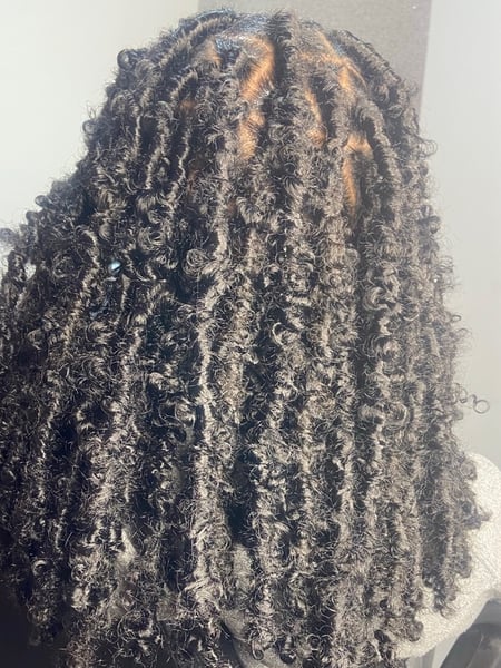 Image of  Hair Texture, 3B, 3C, 4A, 3A, 4B, 4C, Natural, Braids (African American), Protective, Locs, Hair Extensions, Women's Hair, Hairstyles